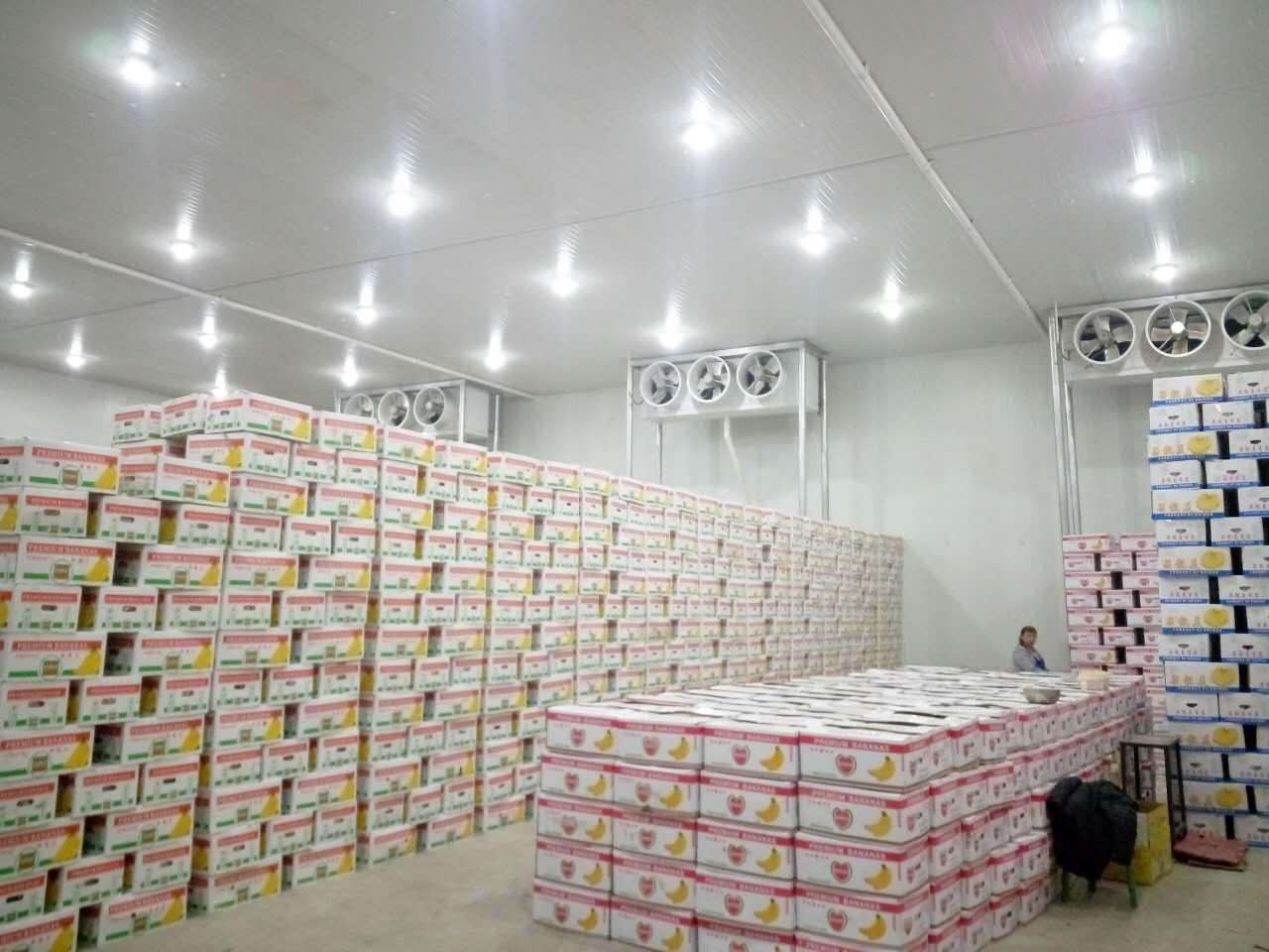 廣(guang)州百菓(guo)園(yuan)冷(leng)庫(ku)項(xiang)目